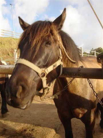 Kafrine